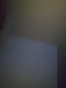VipBayern live
