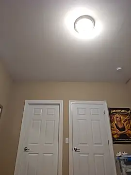AmethystFoxx live