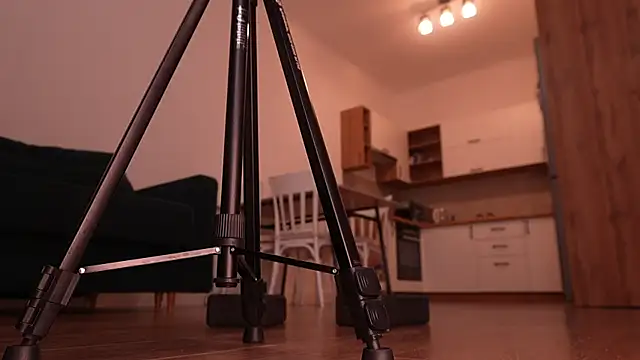 sharlin_13 live