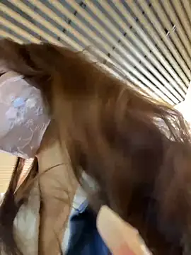 kiss_loo live