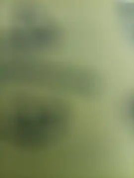 SLSRIXXX live