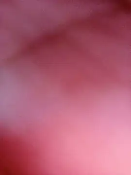-Sahar live