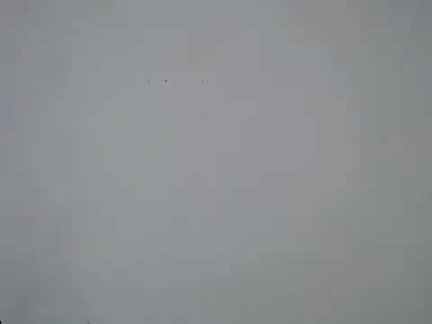 SpicyMackenzie22 profile