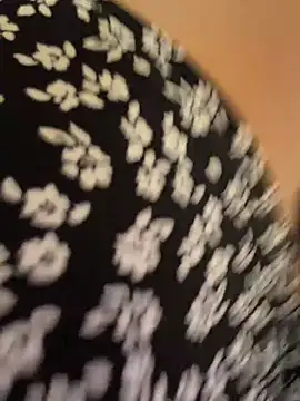 LikaCat live