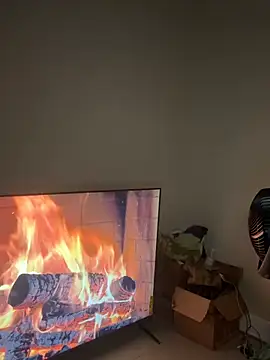 RenaThickAss live