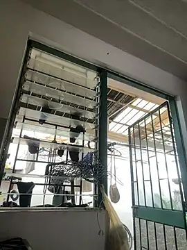 emmyjhonson07 live