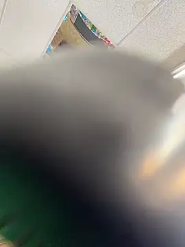 GirthGoddessCoco live