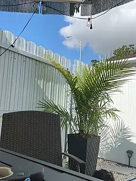 naturebaby live