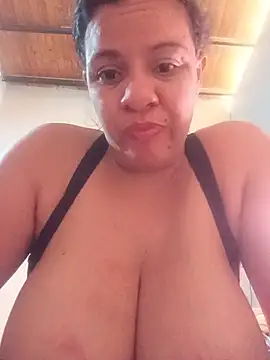 lapatronav2026 live