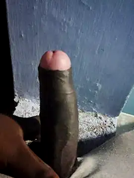 Tamil_mallu_love live