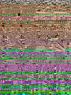 Hello_honey live