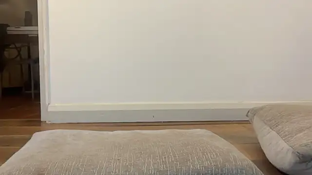 Fawnthefitty live