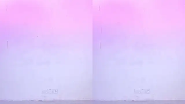 porsche--001 live