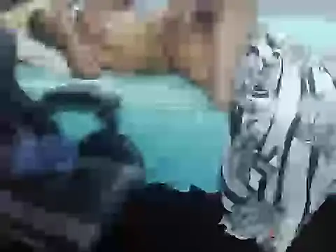 rancehs live