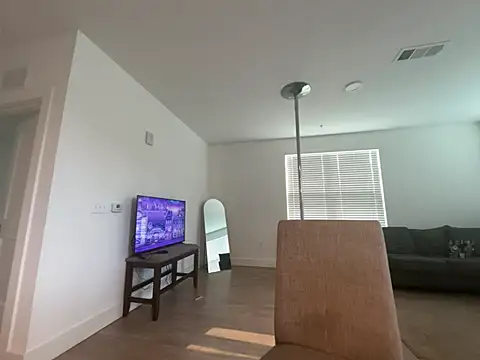 Zaythedancer live