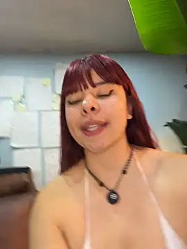 Canneela live