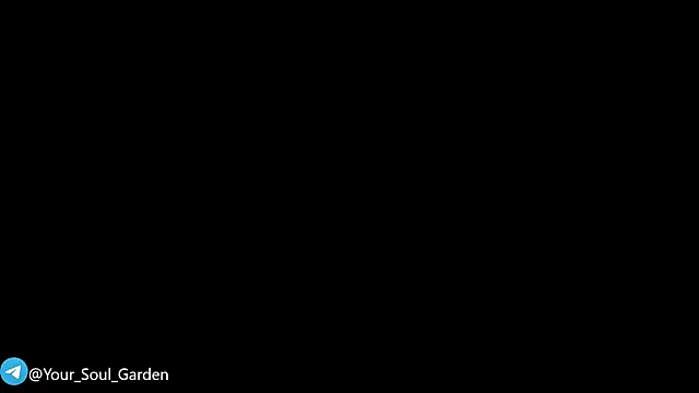 Your_Soul_Garden live