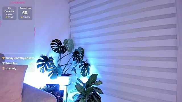 AlleCollins live