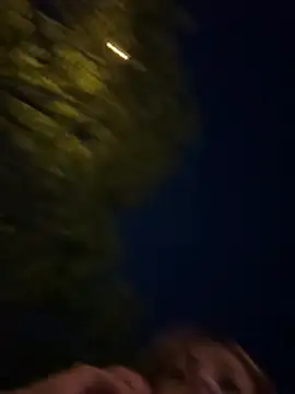 Bellaa25 live