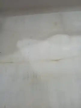 punamji_sexe live