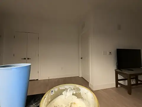 Zaythedancer live