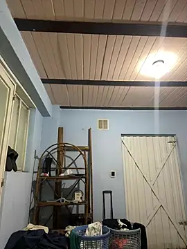 Freya_Artemisa live