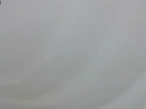 Dieknr live