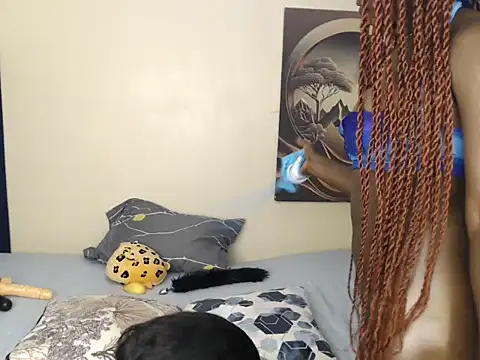 zeno_wild live