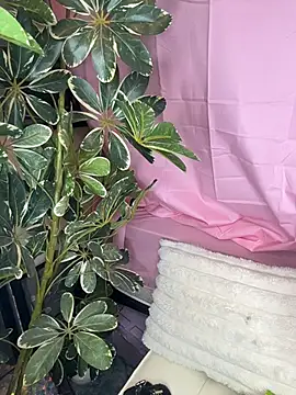 Kinky_Kali live