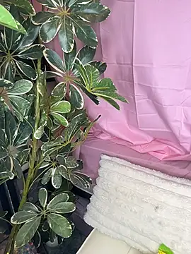Kinky_Kali live