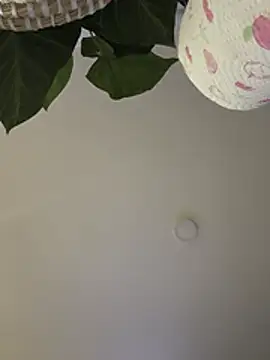 Americ44 live