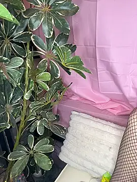 Kinky_Kali live