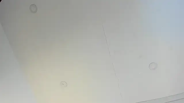 annyy_catt live