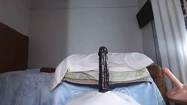 shoshortyy live