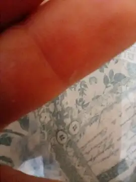 monicarossi95 live