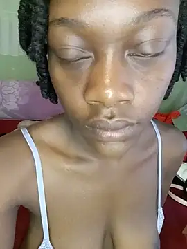 Paulahaze live