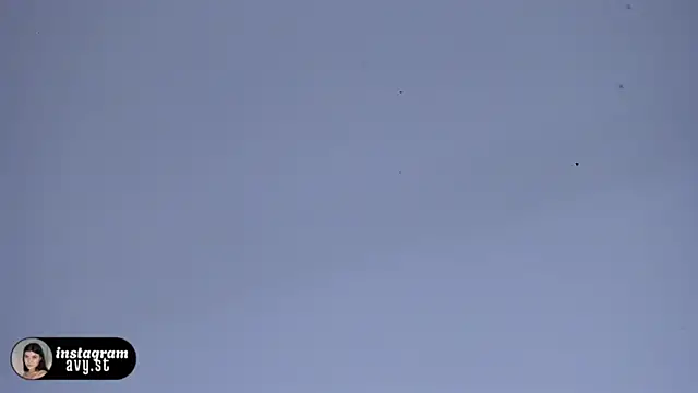 avy_st live