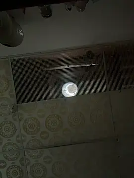 paula_p07 live