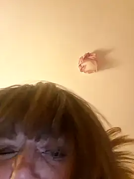 NovaVade live