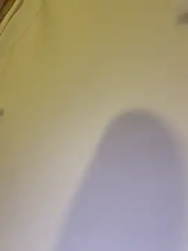 AnitaFly live