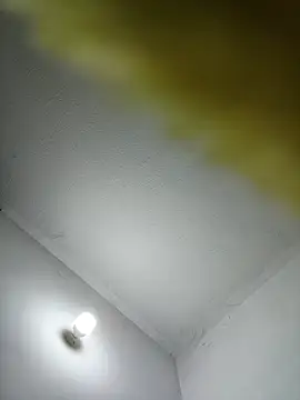 lunaywolfgray live
