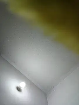 lunaywolfgray live