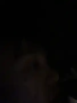 Khaleesi_ying_ live