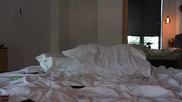 ibiddi live