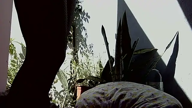 Luna_6911_ live