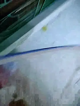 Ayti01 live
