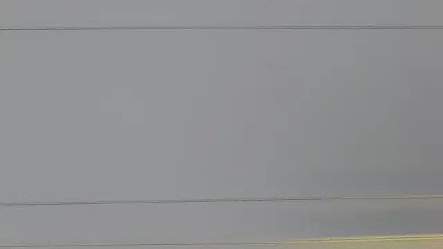 ArianaMilss live