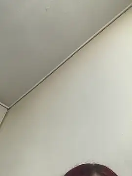 ALISA_DI live