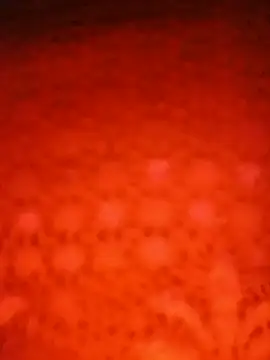 Sexy_Hena_69 live