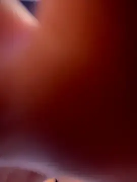 LilyBauer live